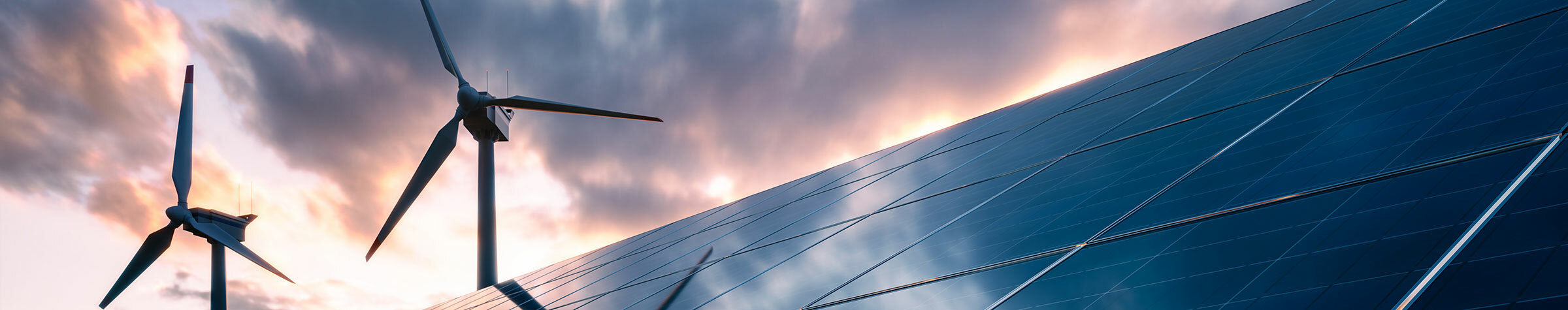 Solar panel and wind turbine