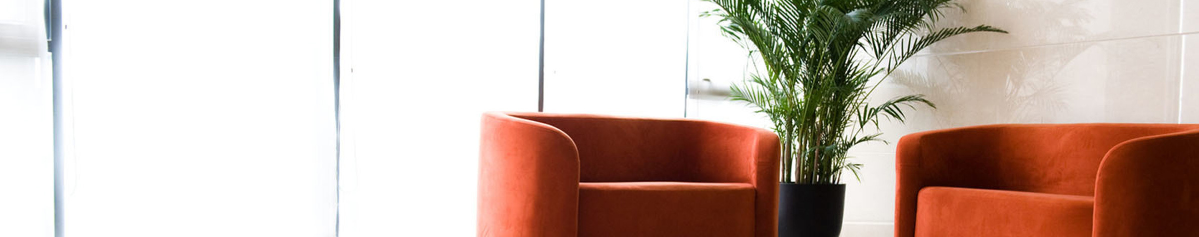 Two red couches on either side of a large green potted plant